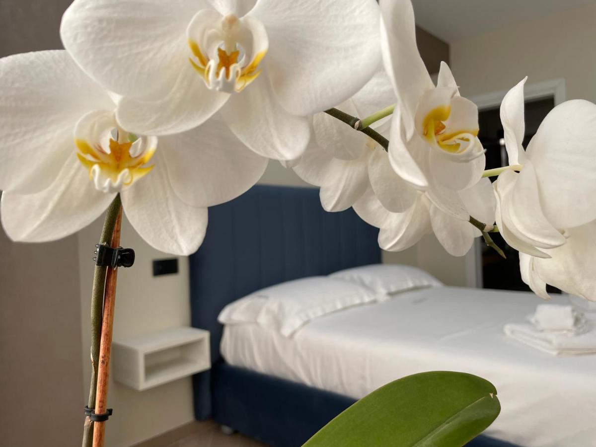 B&B L'Orchidea Tropea Kültér fotó