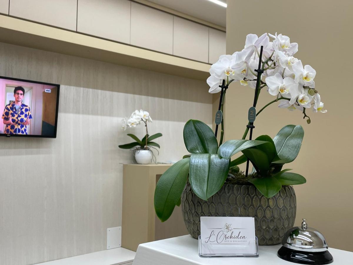 B&B L'Orchidea Tropea Kültér fotó